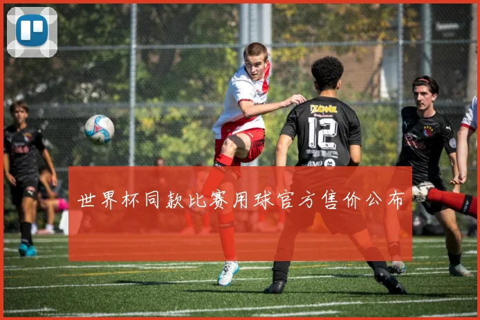世界杯同款比赛用球官方售价公布