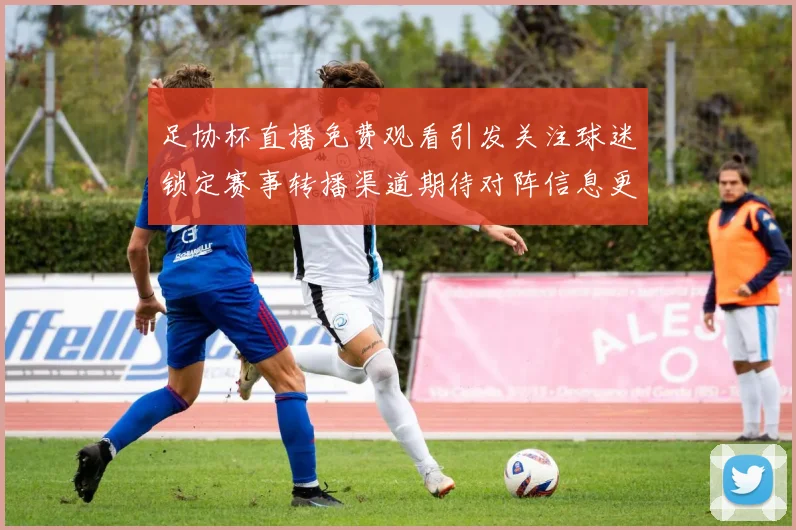 足协杯直播免费观看引发关注球迷锁定赛事转播渠道期待对阵信息更新