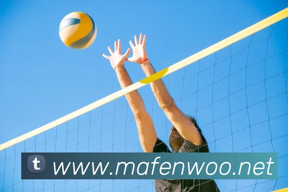 App Interface Preview